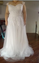 Queen Anne Lace Tulle Cap Short Sleeve Wedding Gown