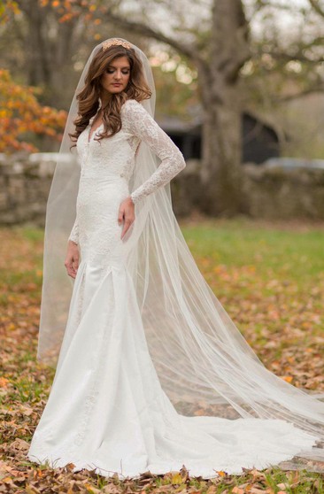 mermaid style wedding dress with lace sleeves